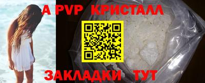 a pvp Кингисепп