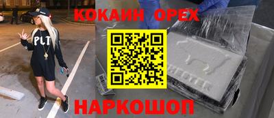 a pvp Кингисепп