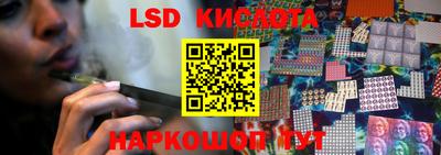 шишки Кимры