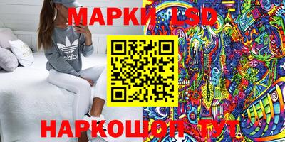 шишки Кимры
