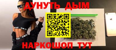 шишки Кимры