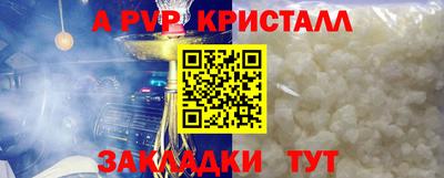 a pvp Кингисепп