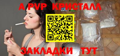a pvp Кингисепп