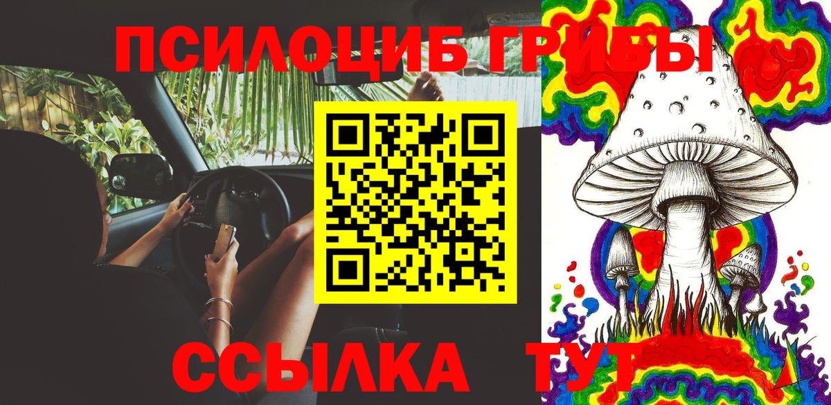 Псилоцибиновые грибы MAGIC MUSHROOMS  Вход с VPN  Псилоцибиновые грибы Psilocybine cubensis  Узловая 